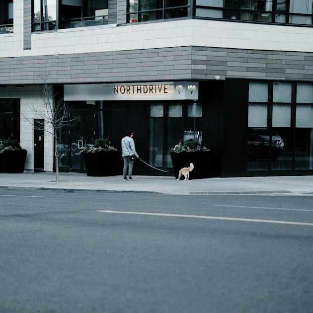 Maximize Your Travel Points