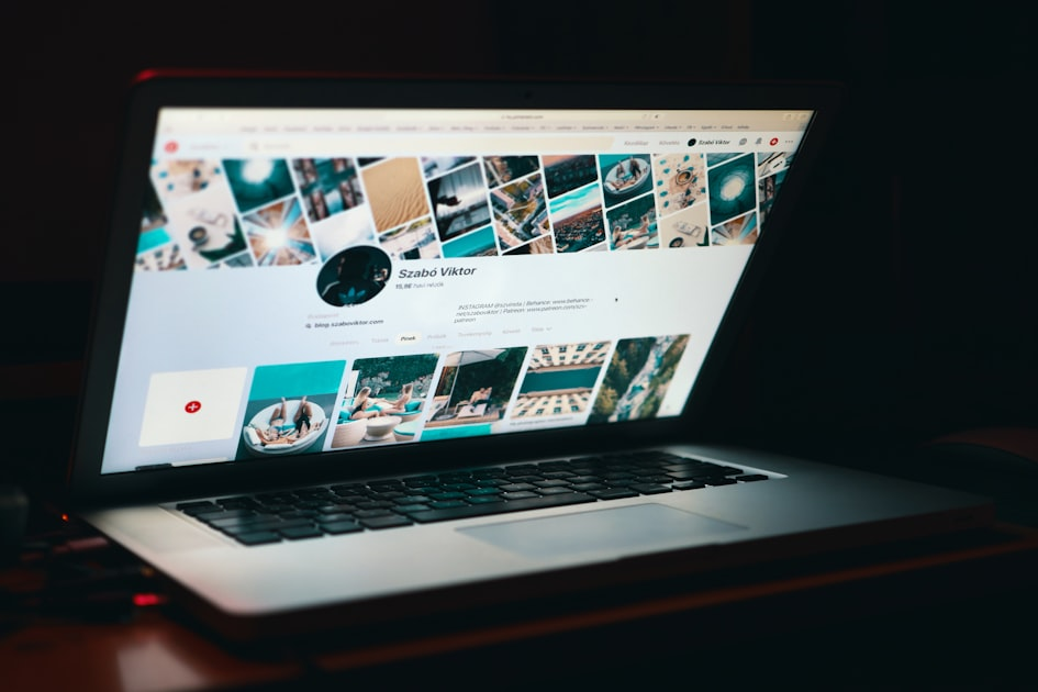 Exploring Washington DC with Your Dog